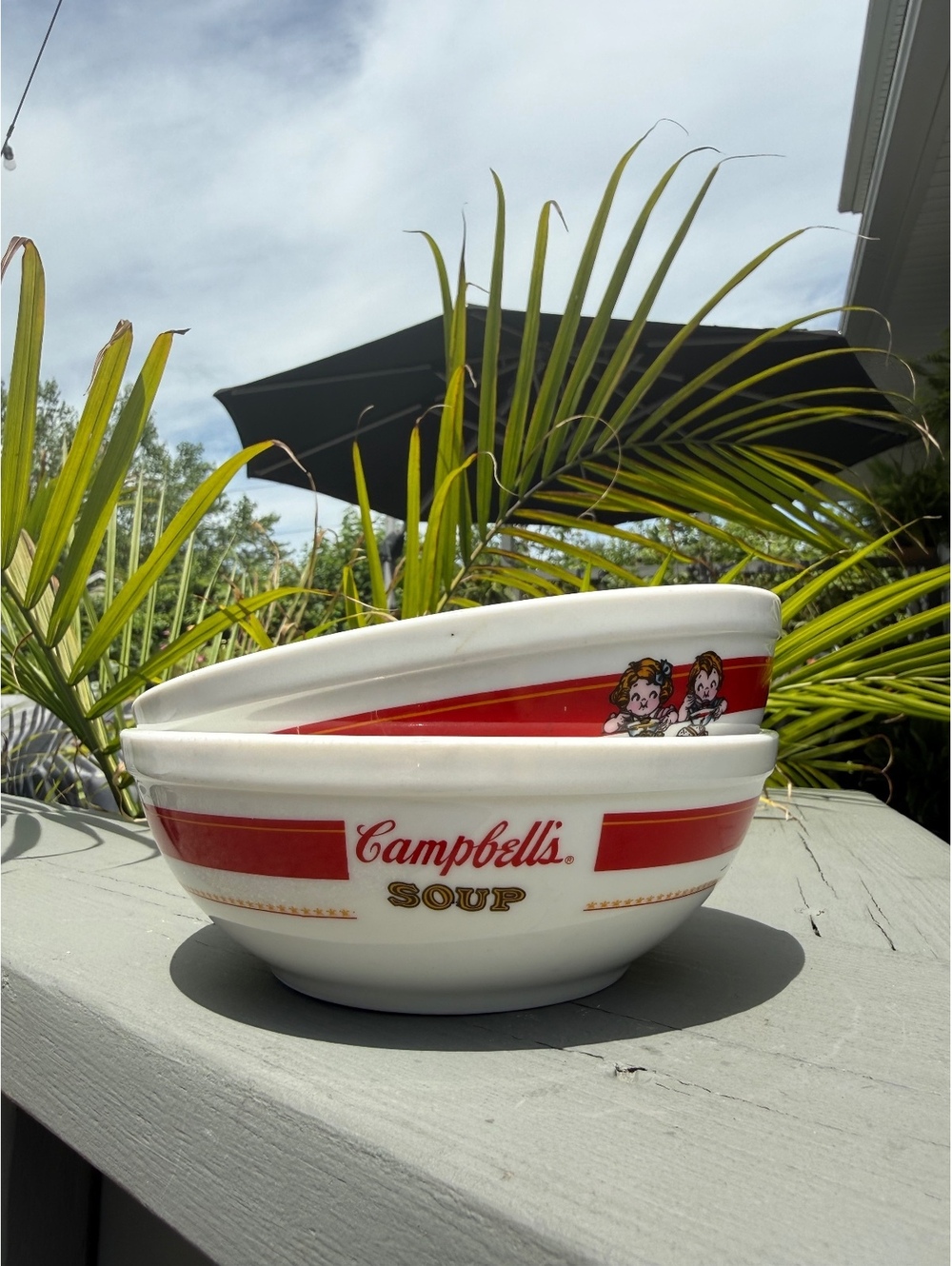 Campbells Soup Bowls Set of 2 Gibson 2001 Licensed Collectible Soup Cereal Bowls